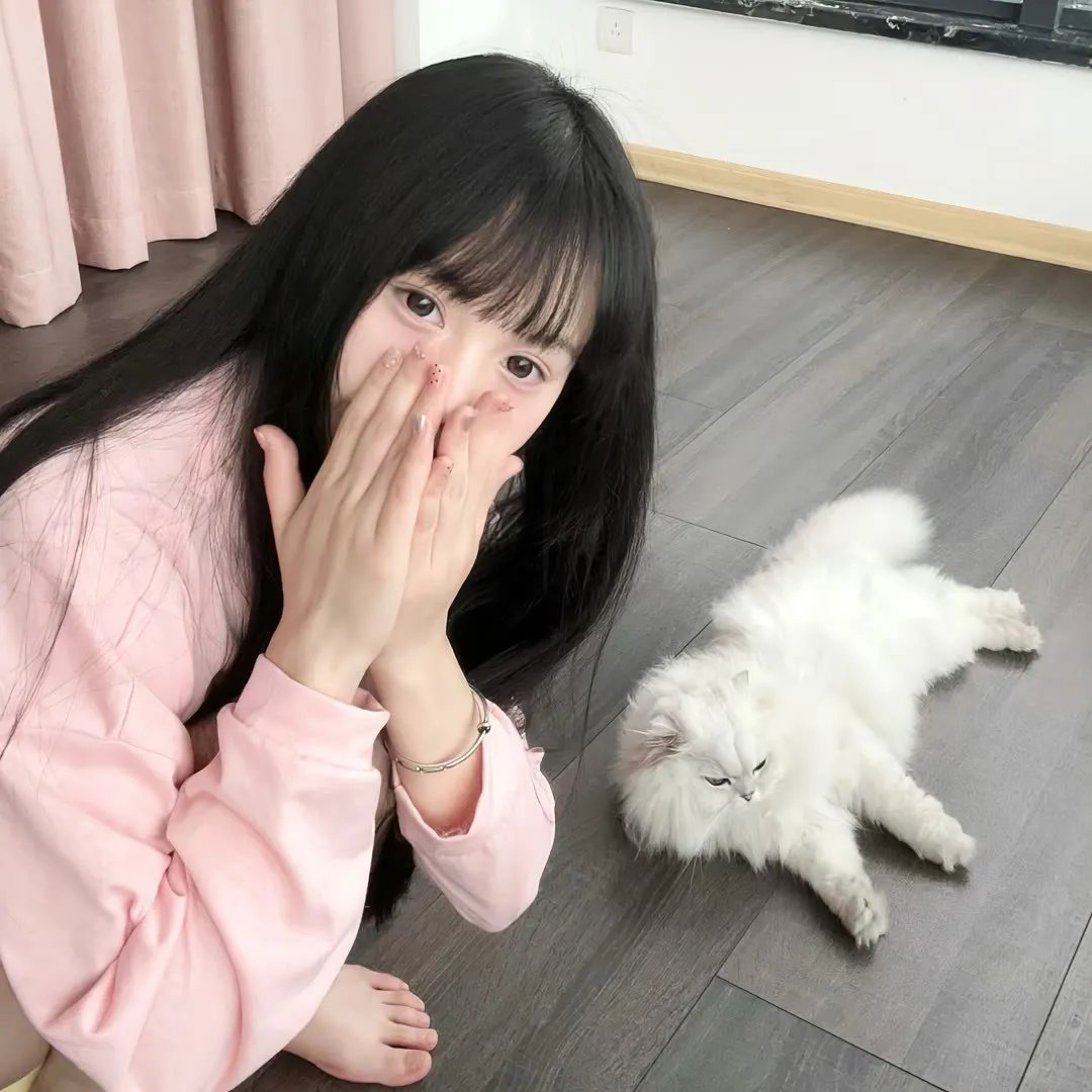 灵犬寻主记